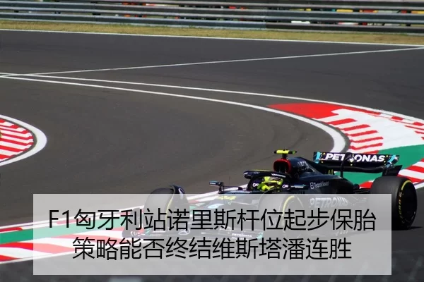 F1匈牙利站诺里斯杆位起步保胎策略能否终结维斯塔潘连胜