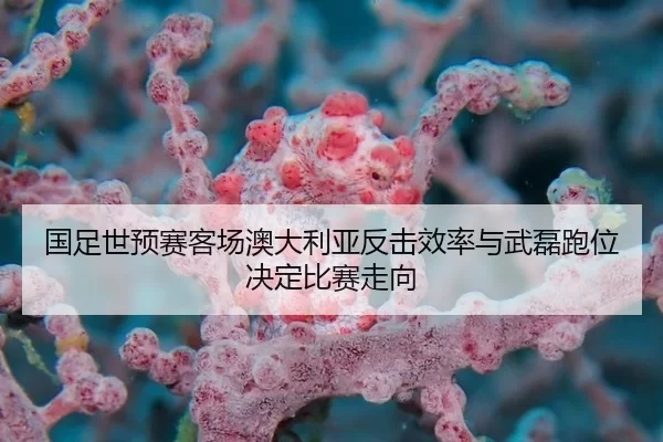 国足世预赛客场澳大利亚反击效率与武磊跑位决定比赛走向