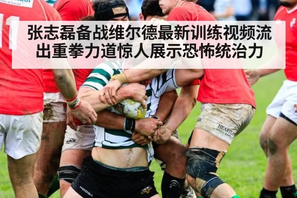 张志磊备战维尔德最新训练视频流出重拳力道惊人展示恐怖统治力